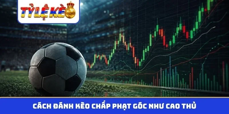 Cách đánh kèo chấp phạt góc như cao thủ