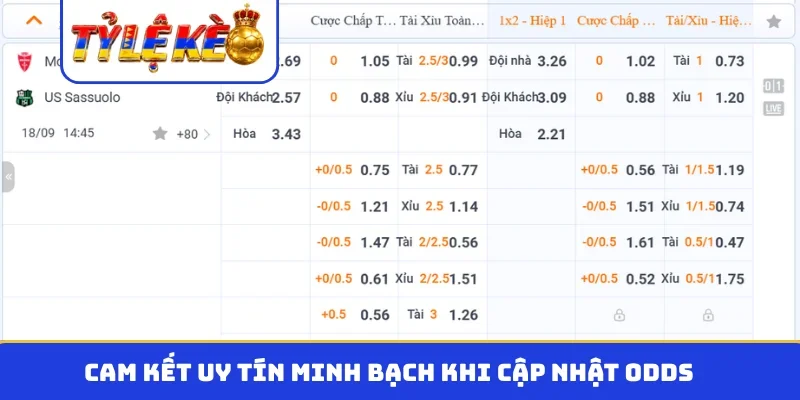 Cam kết uy tín minh bạch khi cập nhật odds
