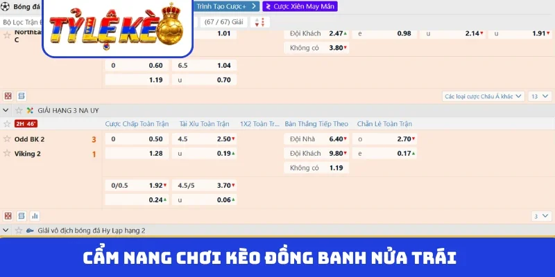 Cẩm nang chơi kèo đồng banh nửa trái