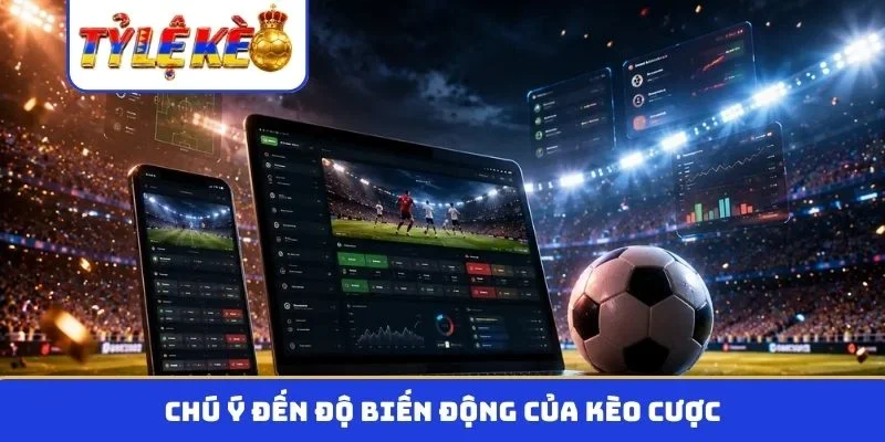 Chú ý đến độ biến động của kèo cược
