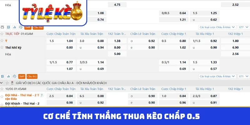 Kinh nghiệm thực tế tham gia kèo chấp 1/2
