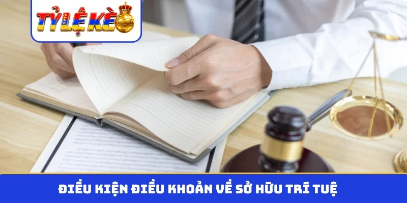 Điều kiện điều khoản về sở hữu trí tuệ