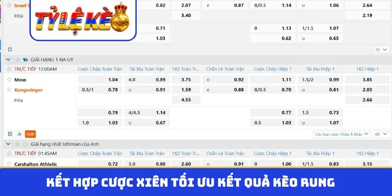 Kết hợp cược xiên tối ưu kết quả kèo rung