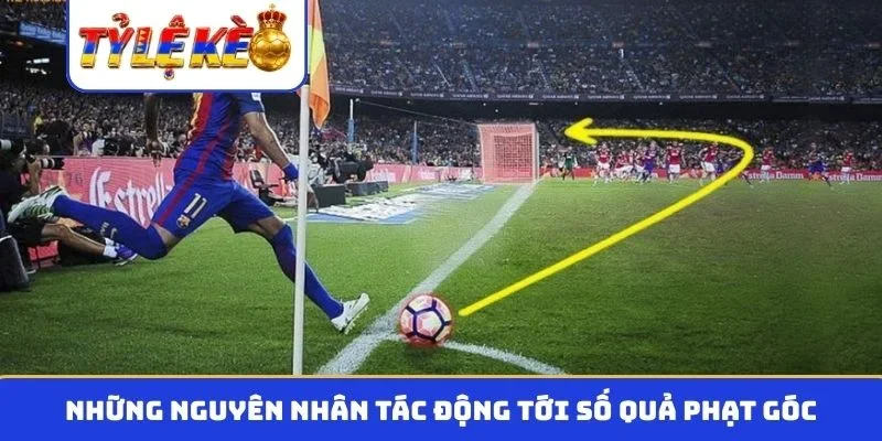 Những nguyên nhân tác động tới số quả phạt góc