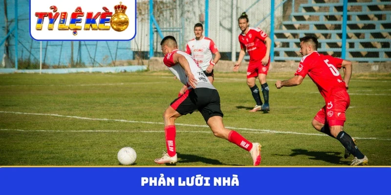 phản lưới nhà