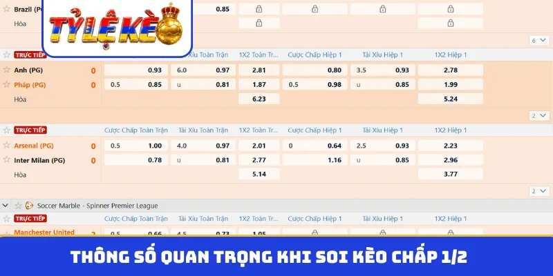 Cơ chế tính thắng thua kèo chấp 0.5
