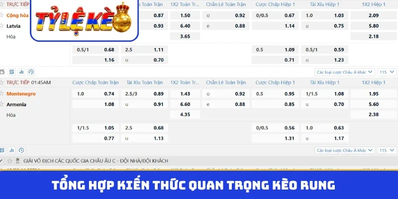 Tổng hợp kiến thức quan trọng kèo rung
